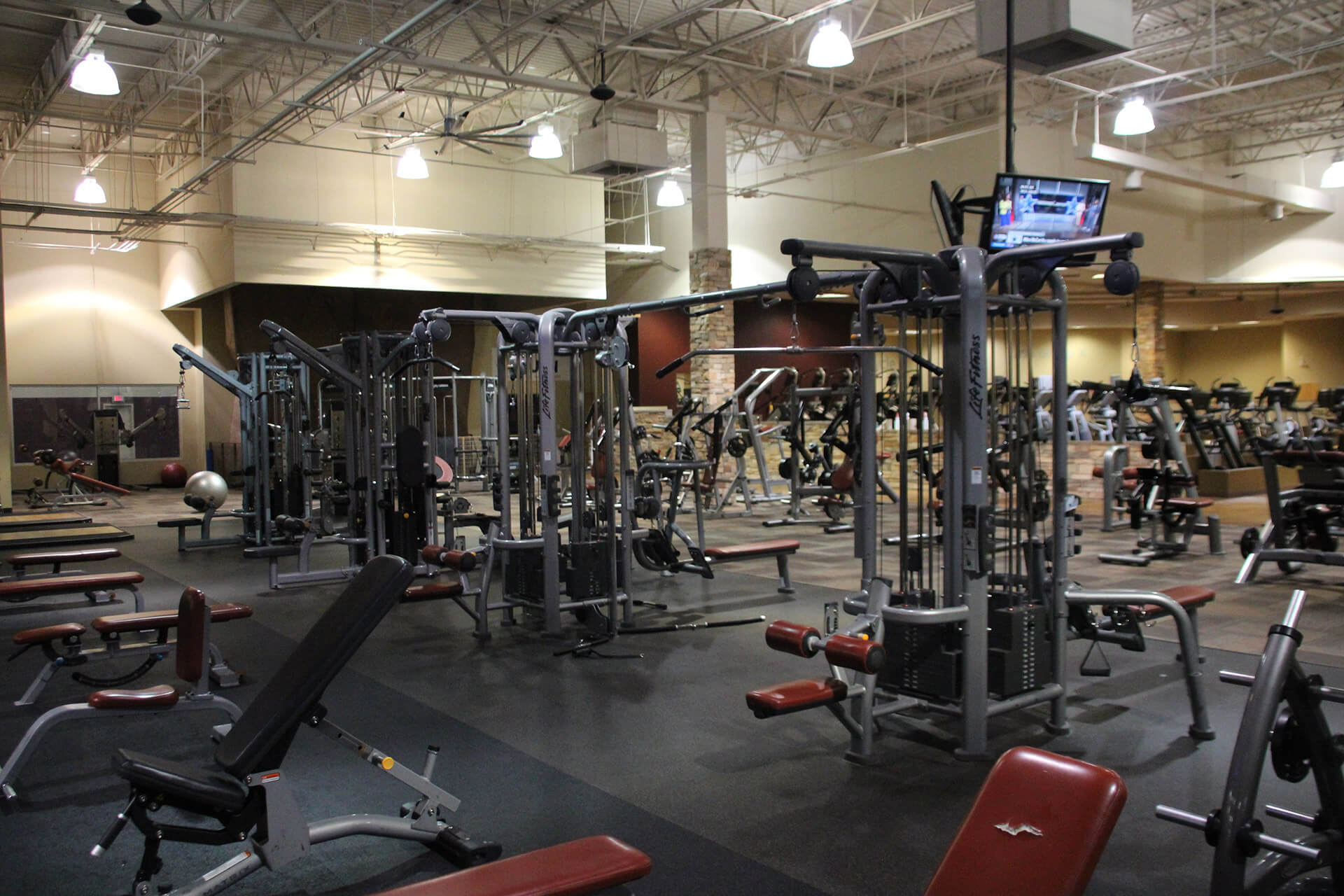 Zone Athletic Clubs Total Fitness & Wellness Denver Metro Area